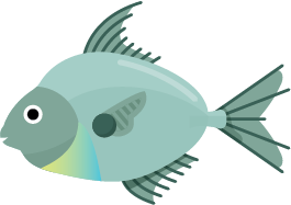 Ponyfish